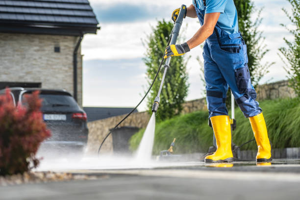 Best Sidewalk and Walkway Cleaning  in Necedah, WI